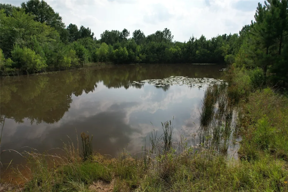 1847 State Highway 19 Highway Emory, TX 75440