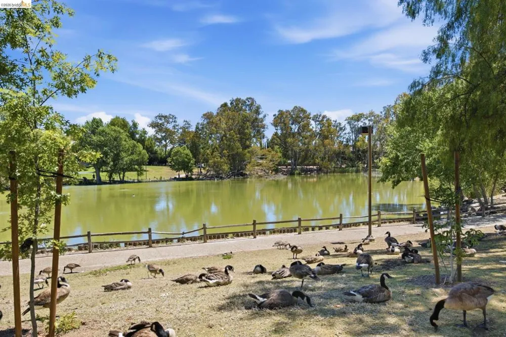 1731 Ellis St #14 Concord, CA 94520