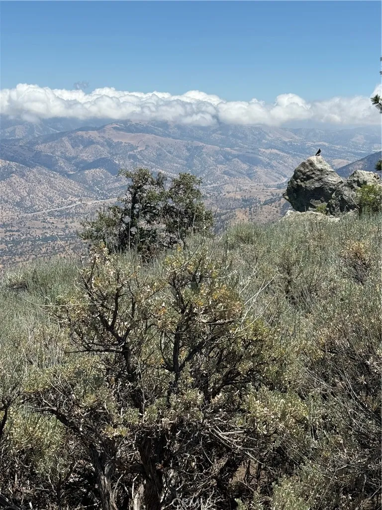 25610 Jacaranda Tehachapi, CA 93561