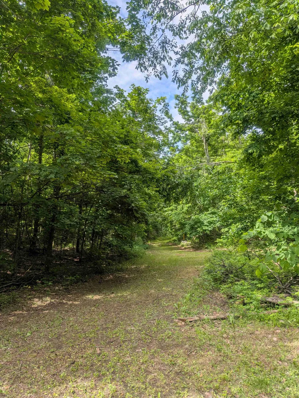 4439 Kuzmik Road Boyne Falls, MI 49713