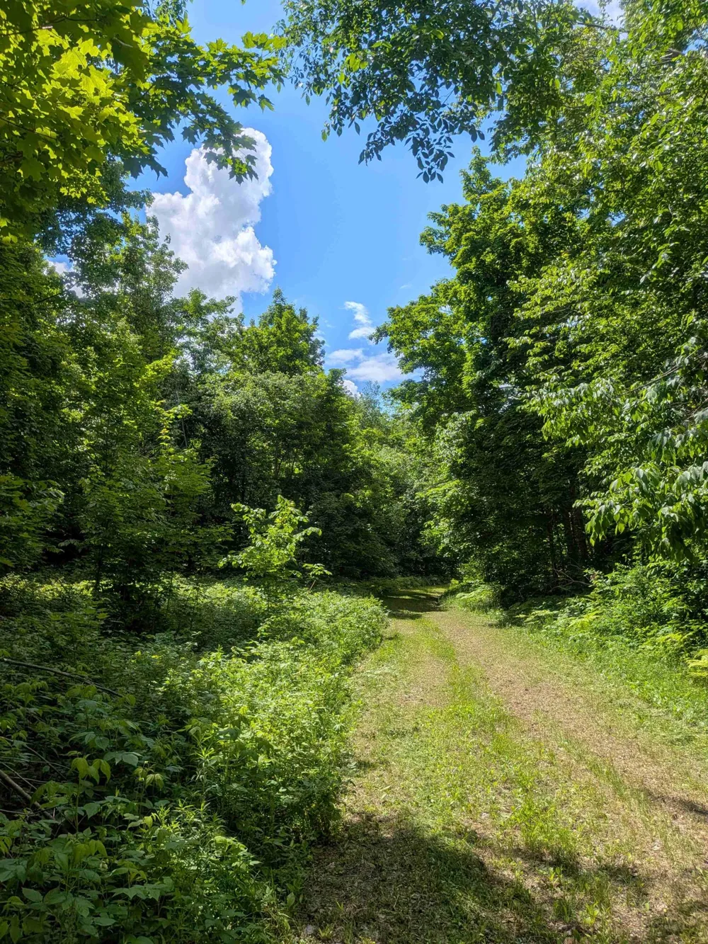 4439 Kuzmik Road Boyne Falls, MI 49713