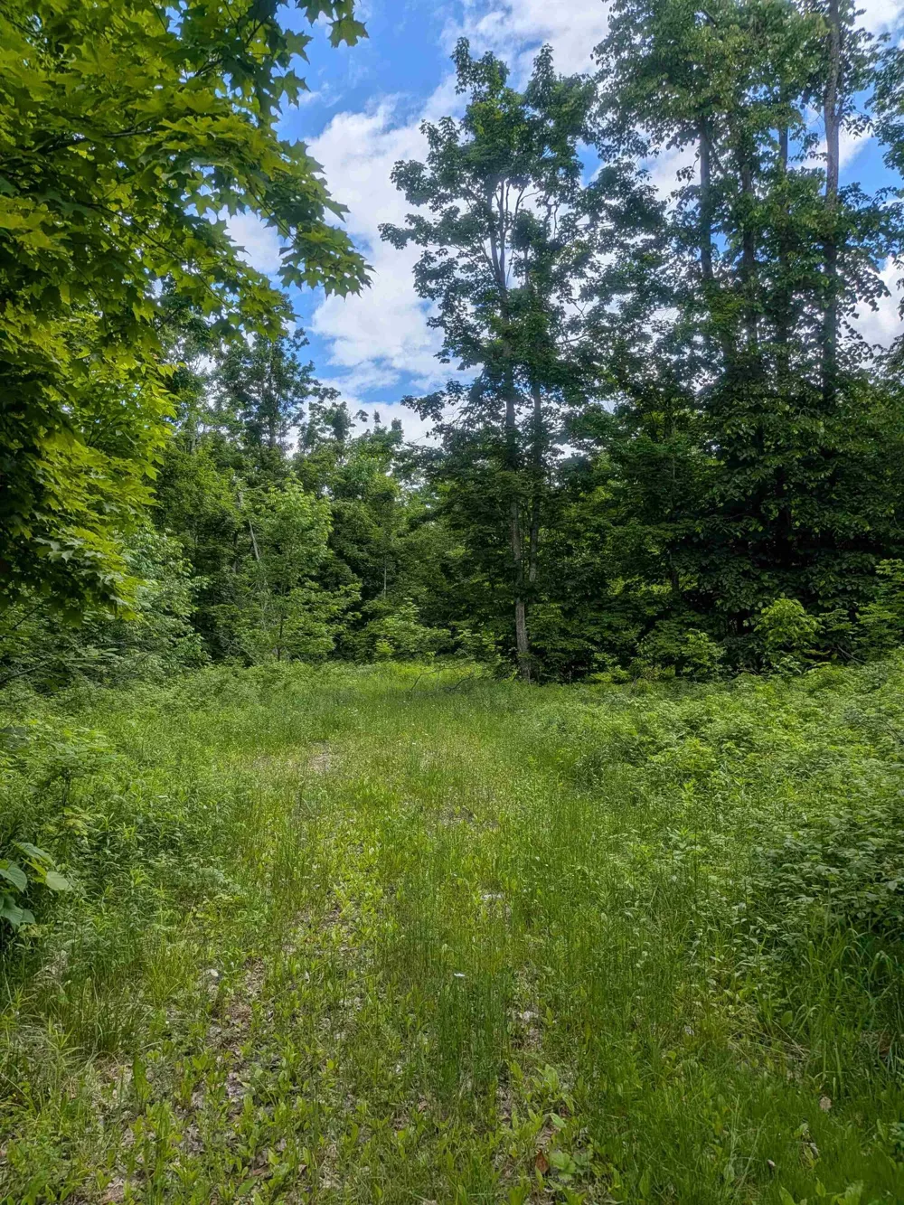 4439 Kuzmik Road Boyne Falls, MI 49713