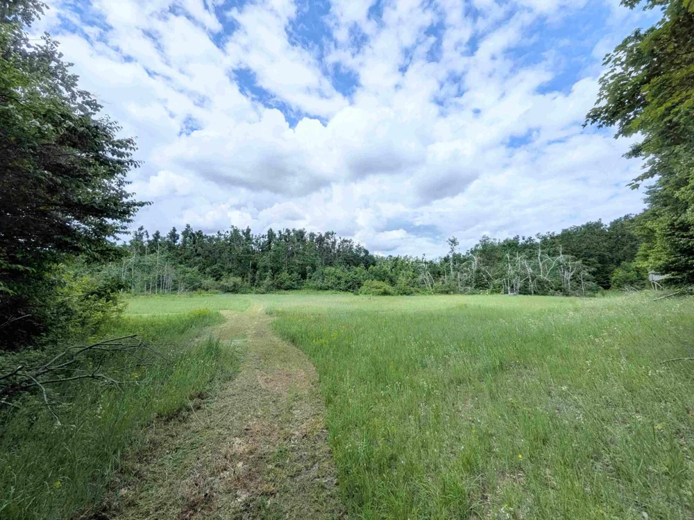 4439 Kuzmik Road Boyne Falls, MI 49713