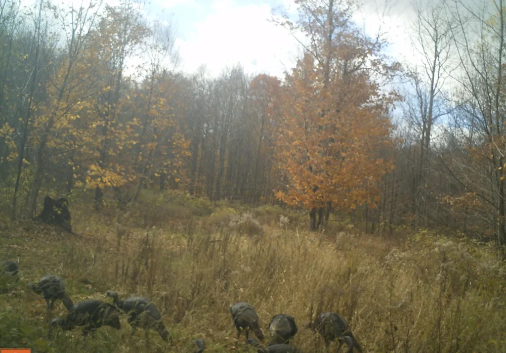 4439 Kuzmik Road Boyne Falls, MI 49713