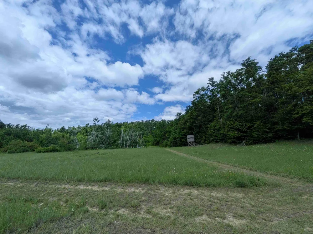 4439 Kuzmik Road Boyne Falls, MI 49713