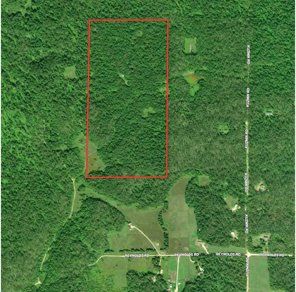 4439 Kuzmik Road Boyne Falls, MI 49713