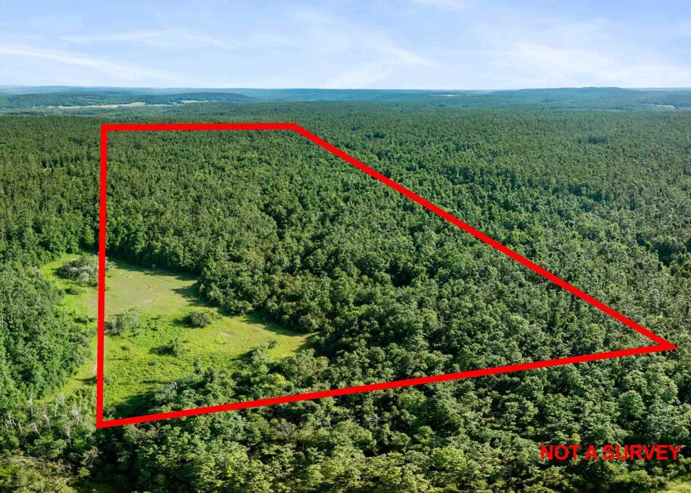 4439 Kuzmik Road Boyne Falls, MI 49713
