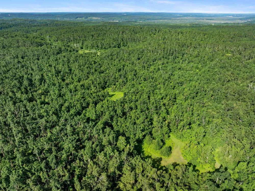 4439 Kuzmik Road Boyne Falls, MI 49713