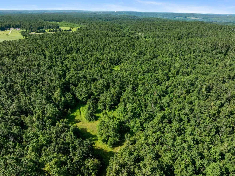 4439 Kuzmik Road Boyne Falls, MI 49713