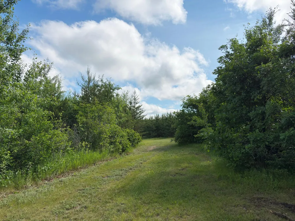 12207 110th Street Menahga, MN 56464