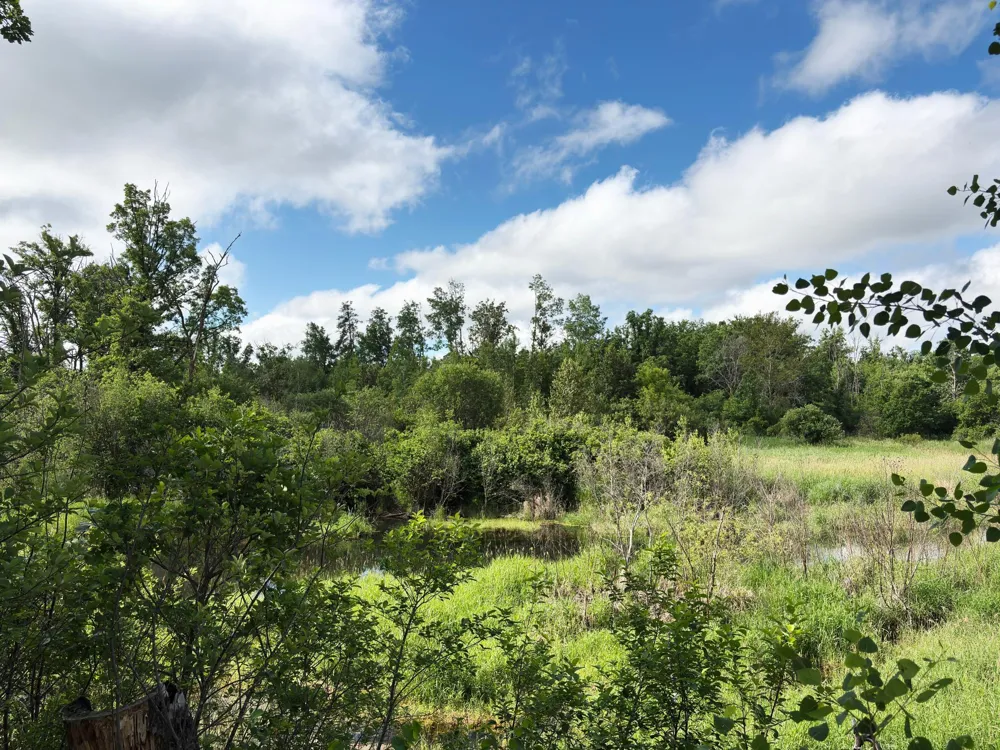 12207 110th Street Menahga, MN 56464