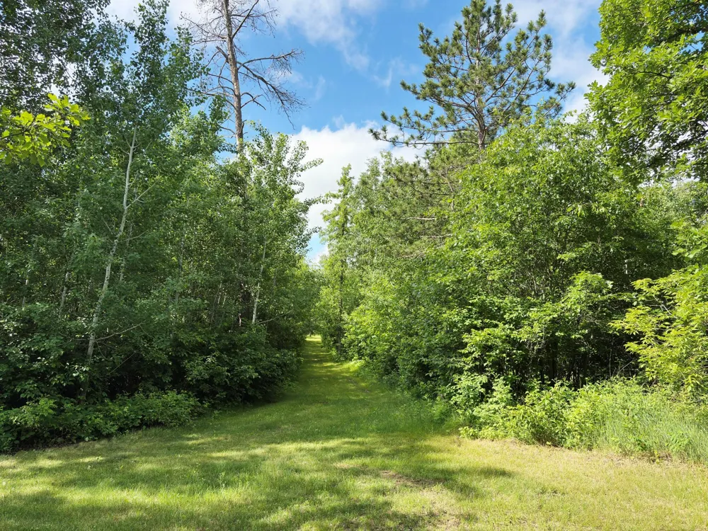 12207 110th Street Menahga, MN 56464