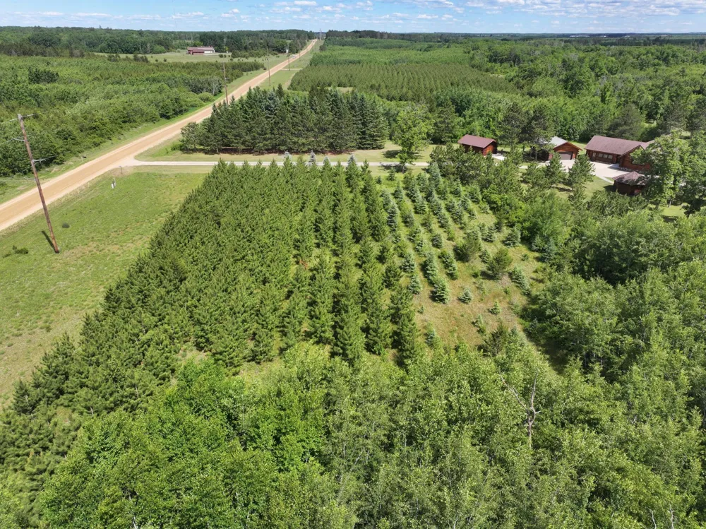 12207 110th Street Menahga, MN 56464