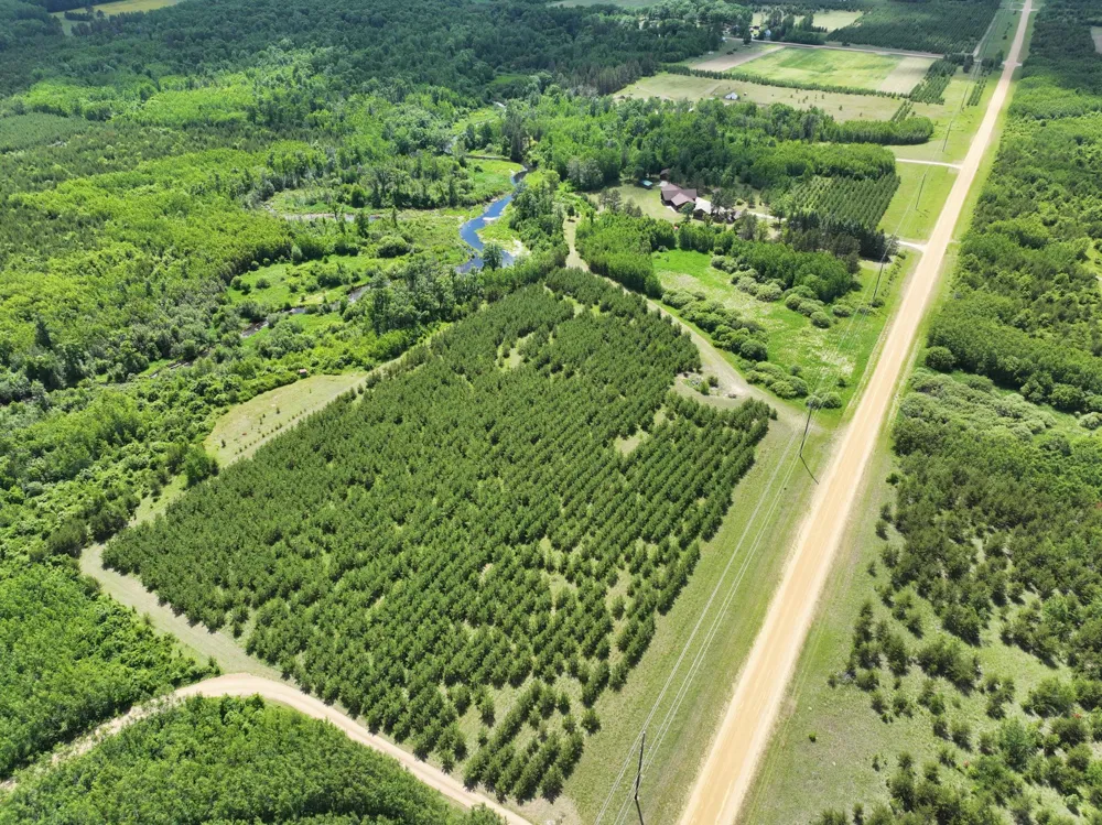 12207 110th Street Menahga, MN 56464