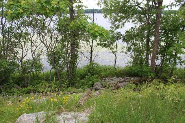 Lot D Echo Ridge Deerwood, MN 56444