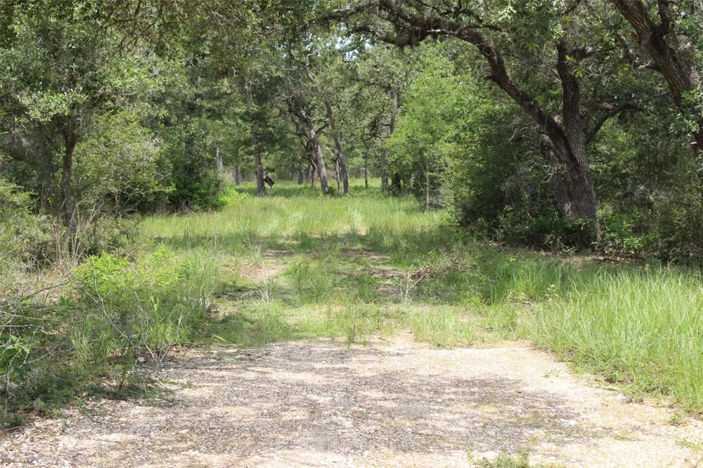 479 Private 1581 Drive Hallettsville, TX 77964