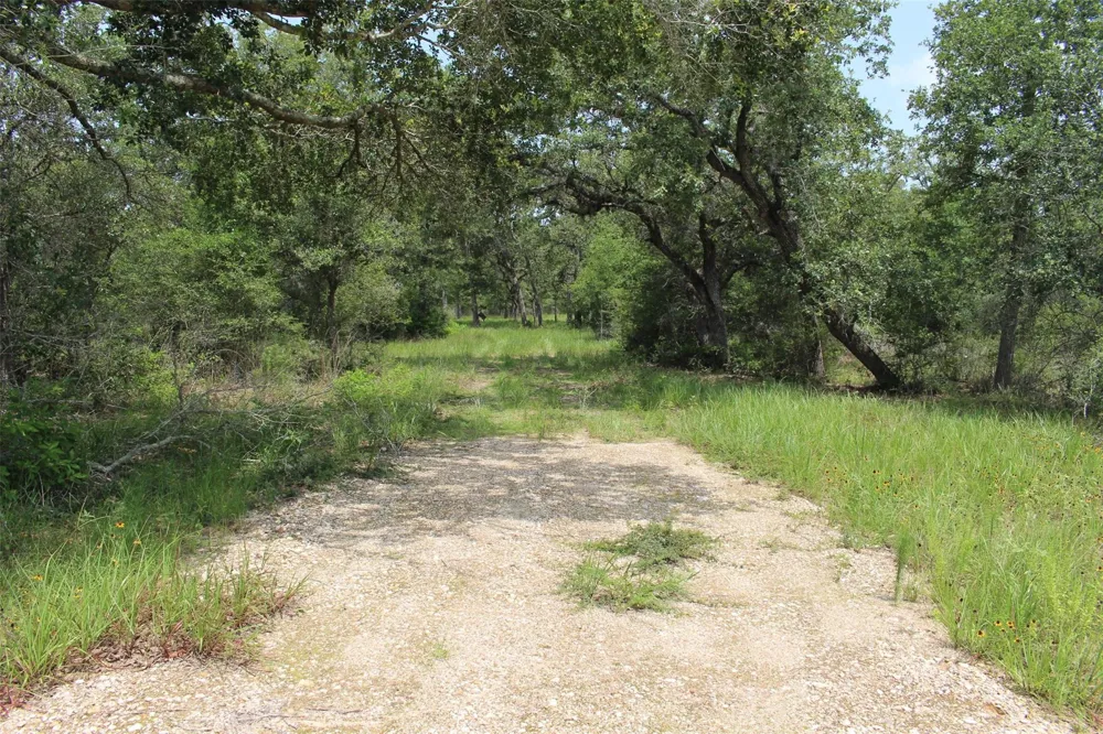 479 Private 1581 Drive Hallettsville, TX 77964