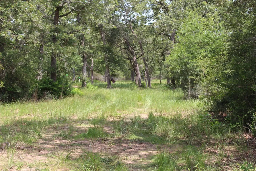 479 Private 1581 Drive Hallettsville, TX 77964