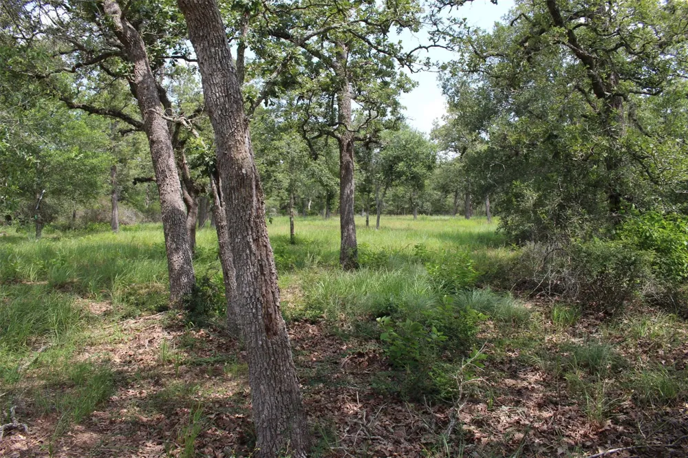 479 Private 1581 Drive Hallettsville, TX 77964