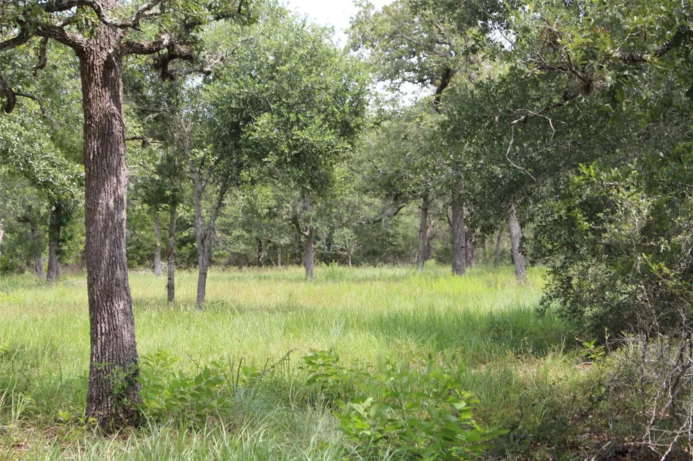 479 Private 1581 Drive Hallettsville, TX 77964