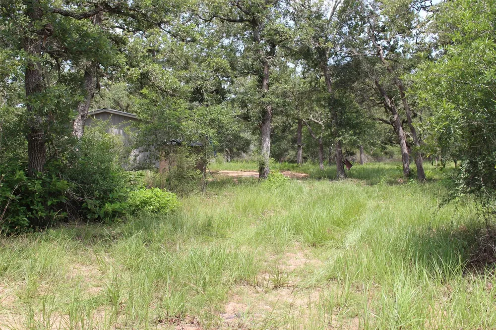 479 Private 1581 Drive Hallettsville, TX 77964