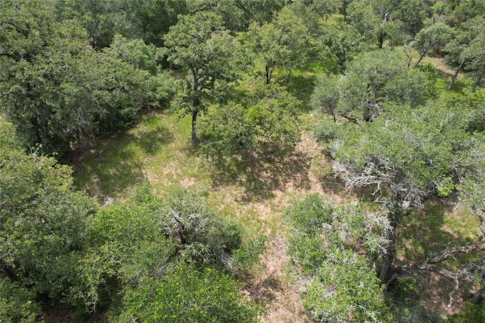 479 Private 1581 Drive Hallettsville, TX 77964