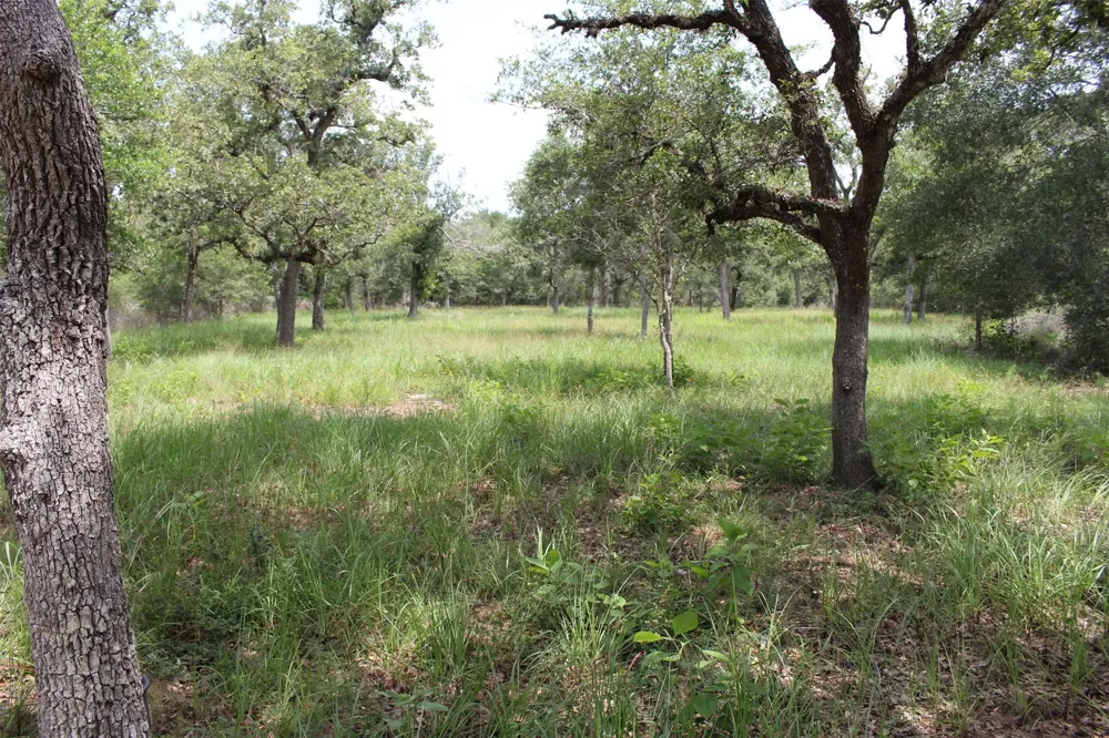 479 Private 1581 Drive Hallettsville, TX 77964