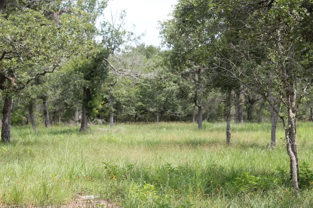 479 Private 1581 Drive Hallettsville, TX 77964