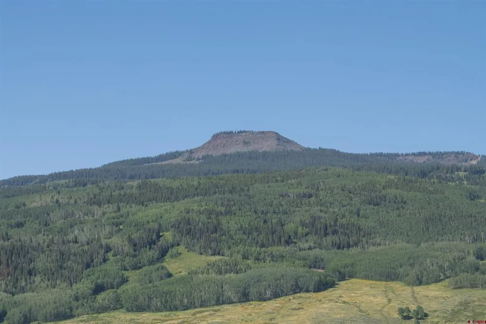 343 Zeligman Street Crested Butte, CO 81224