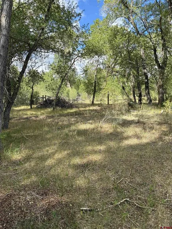29622 State Highway 17 Antonito, CO 81120