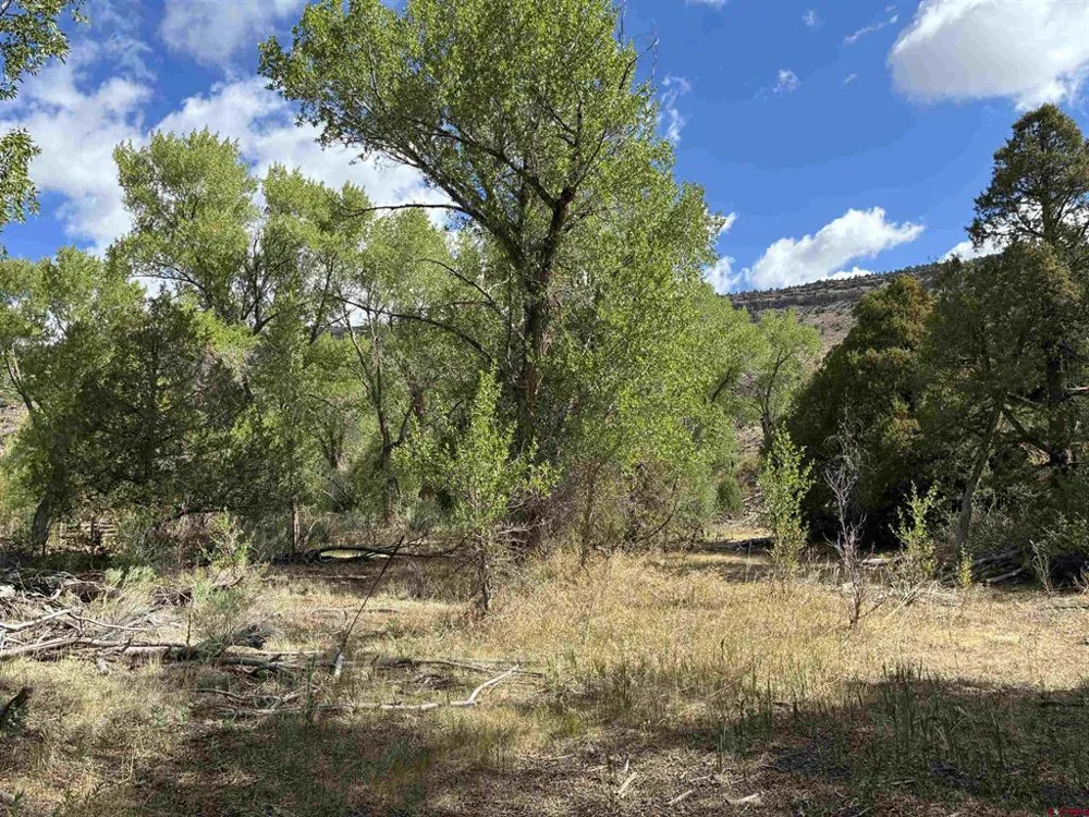 29622 State Highway 17 Antonito, CO 81120