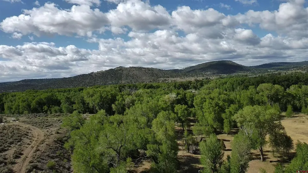 29622 State Highway 17 Antonito, CO 81120