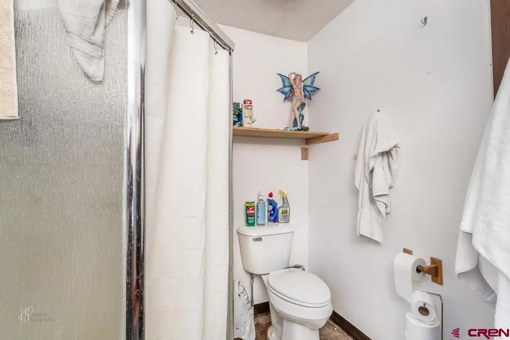 373 Gerhard Circle Pagosa Springs, CO 81147