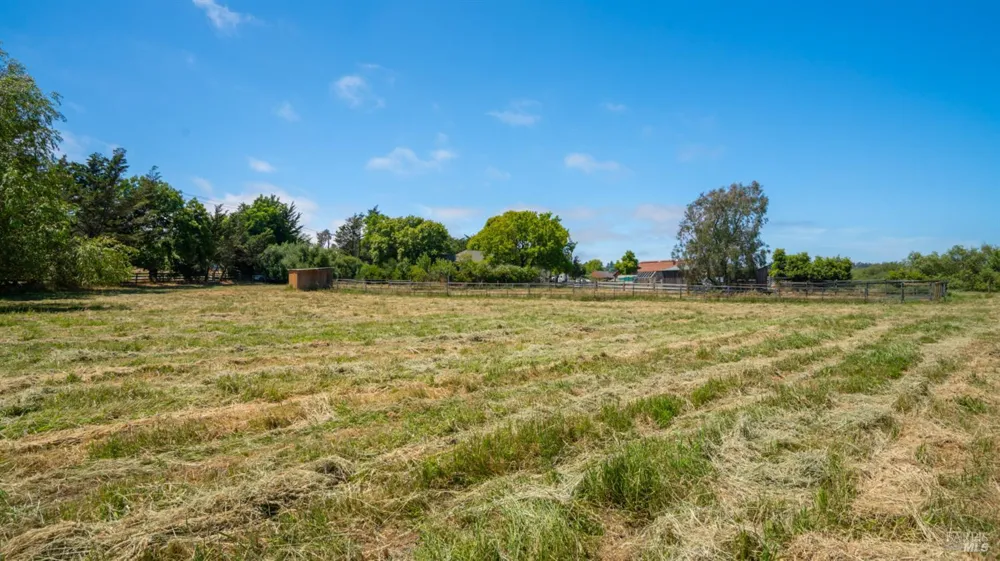 4898 Bodega Avenue Petaluma, CA 94952