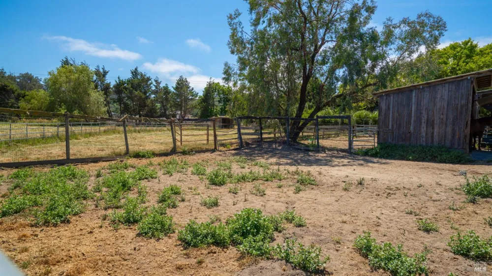4898 Bodega Avenue Petaluma, CA 94952
