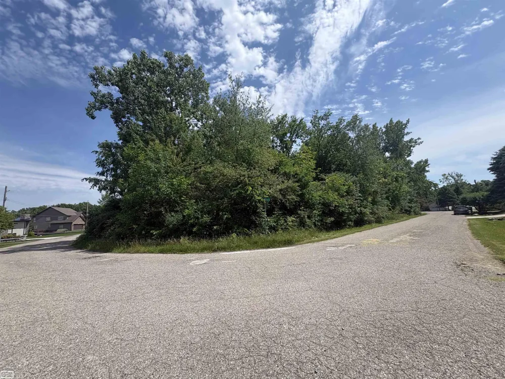 Heron Drive Elba Township, MI 48446