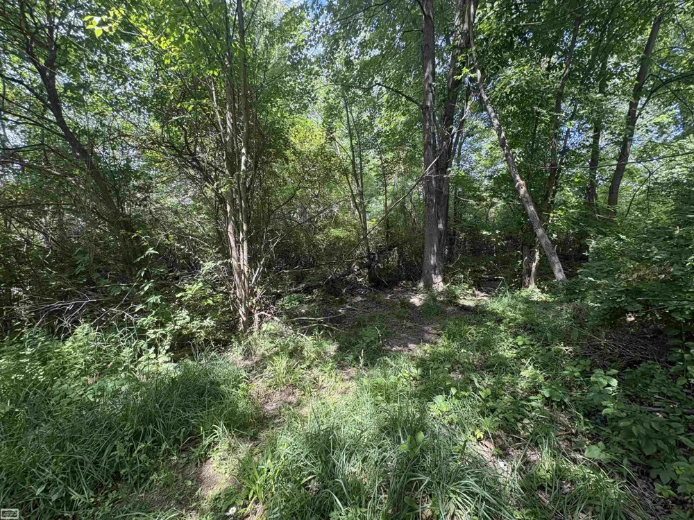 Heron Drive Elba Township, MI 48446