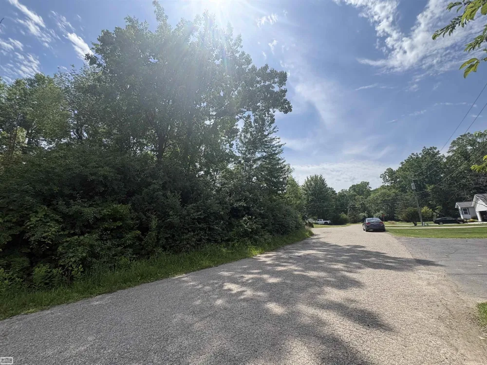 Heron Drive Elba Township, MI 48446