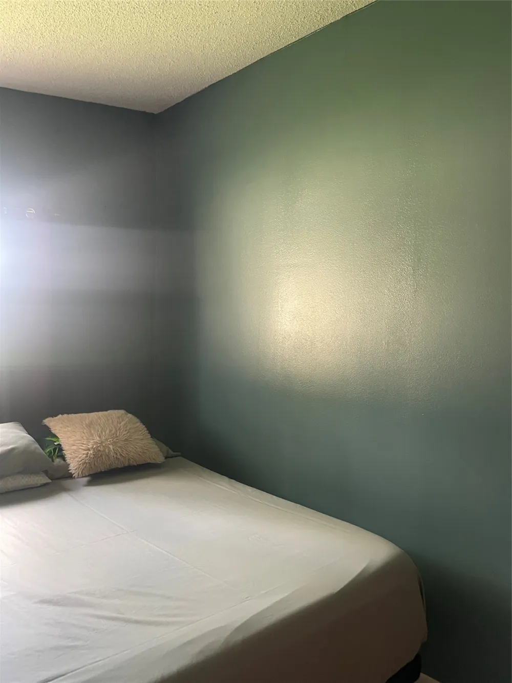 1140 W Forest Street Munday, TX 76371