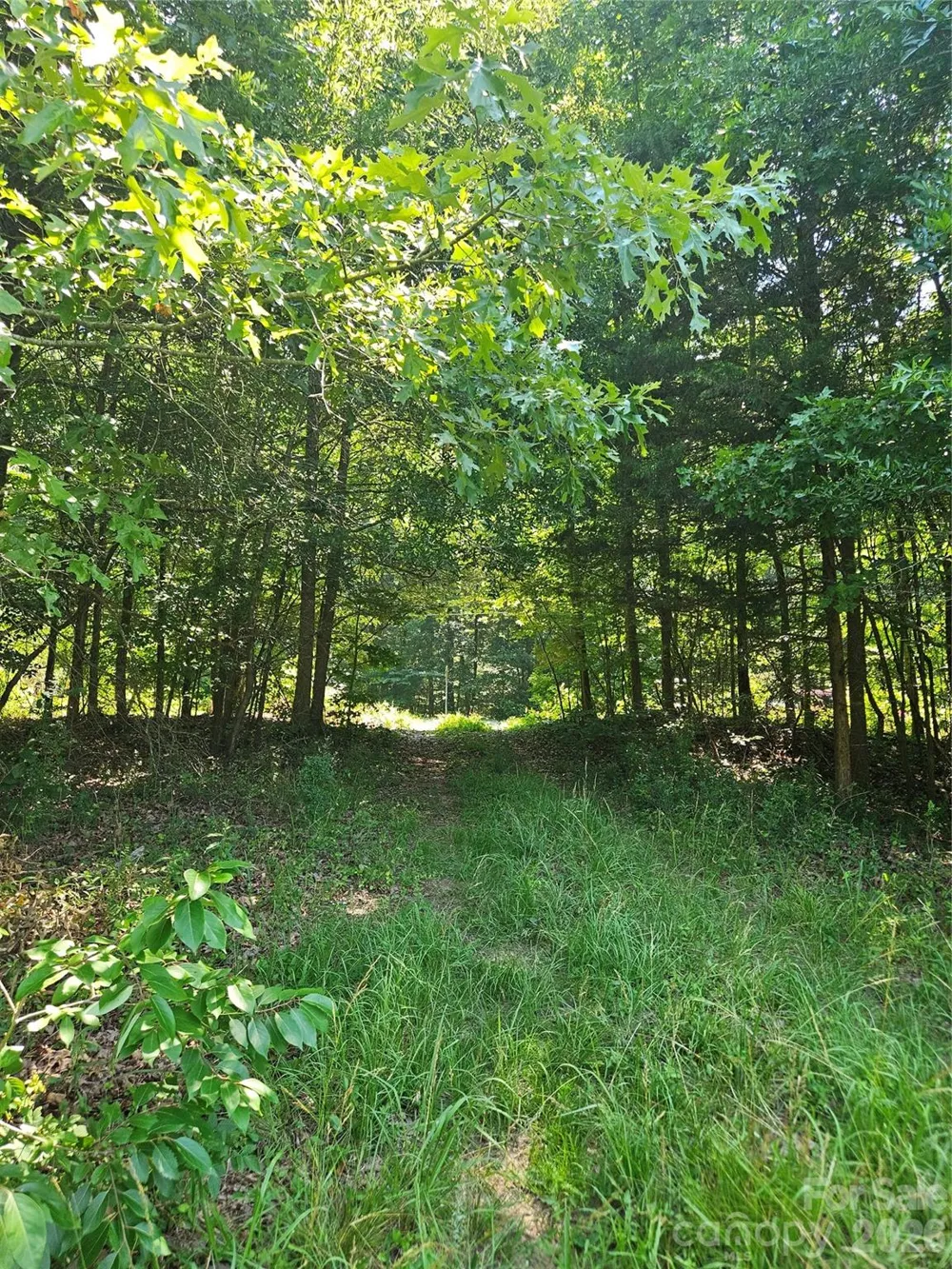 16.70ac Providence Road S Waxhaw, NC 28173