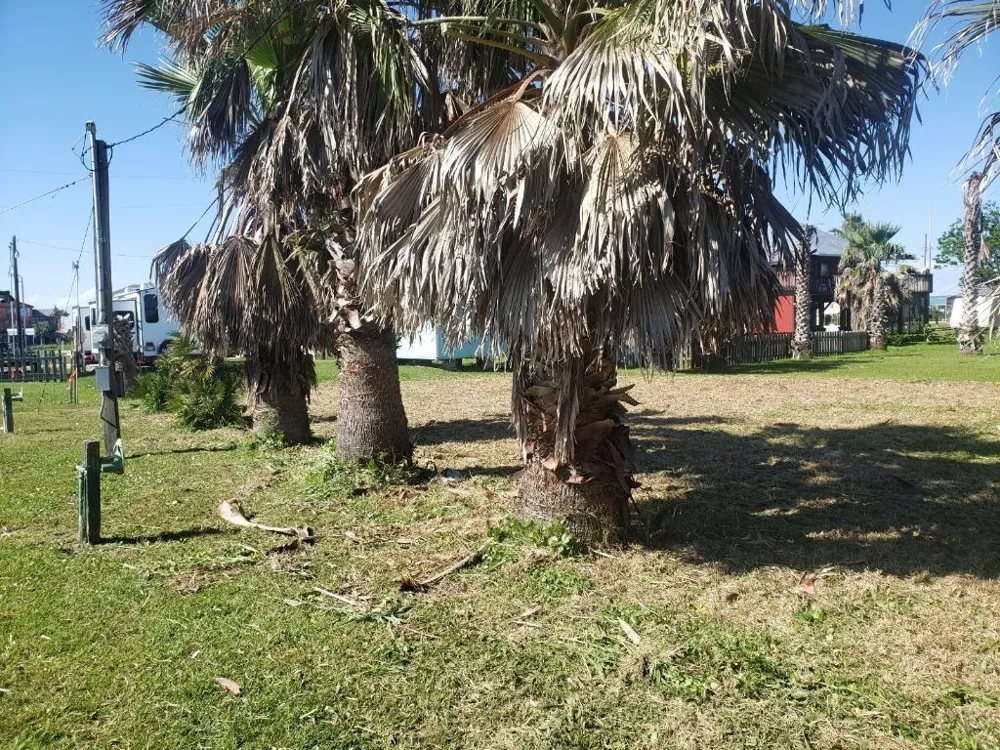 111 Bud Drive Crystal Beach, TX 77650