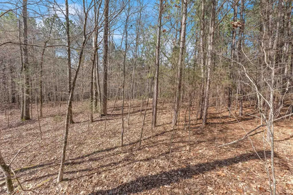 806 Finnel Rd Nw Off Road NW Cleveland, TN 37312