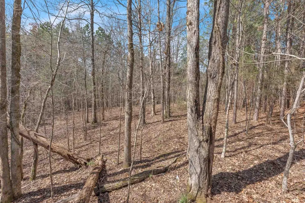 806 Finnel Rd Nw Off Road NW Cleveland, TN 37312
