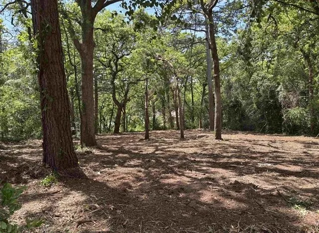 514 Dogwood Lane Hideaway, TX 75771