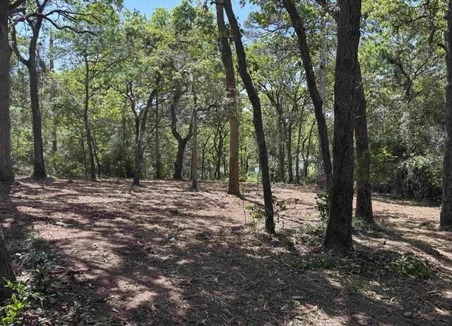 514 Dogwood Lane Hideaway, TX 75771