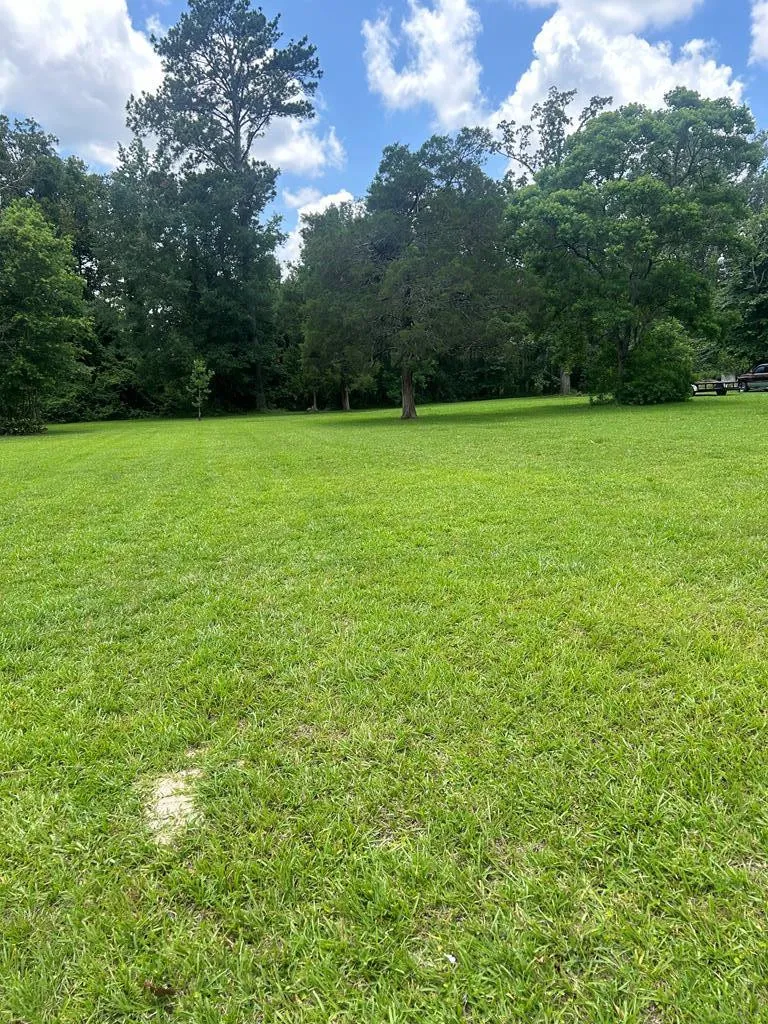 511 White Oak Brookhaven, MS 39601