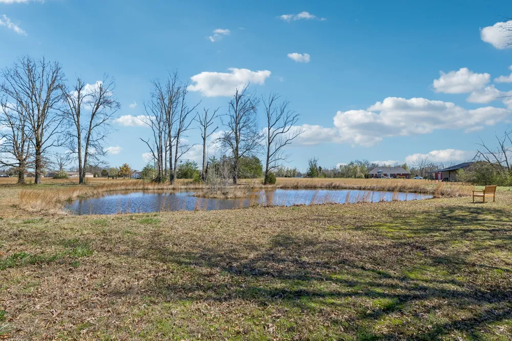 267 Switzerland Rd Hohenwald, TN 38462