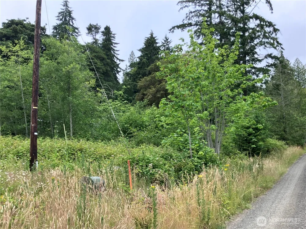 0 ViKen Lane Hoodsport, WA 98548