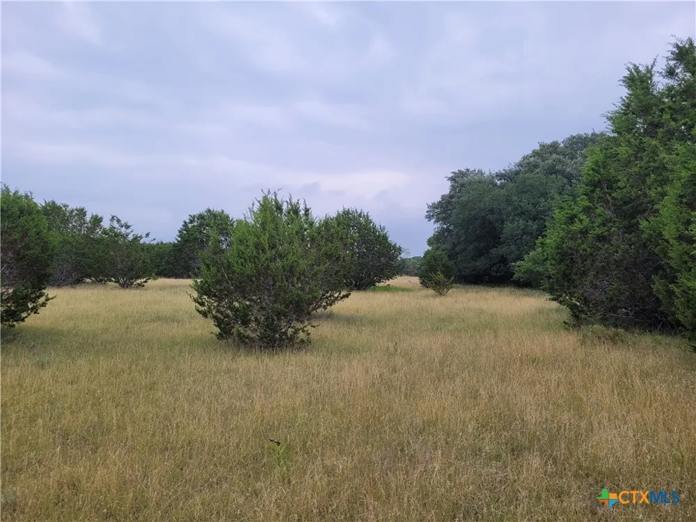 US HWY 190 E Kempner, TX 76539