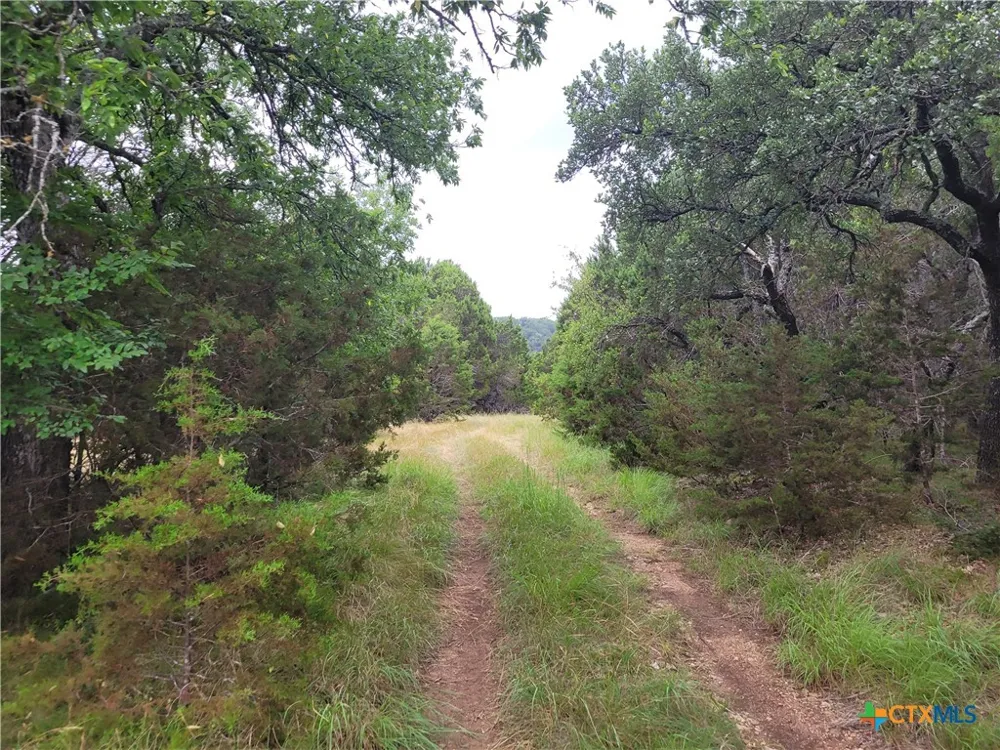 US HWY 190 E Kempner, TX 76539